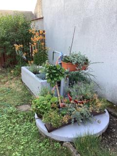 Ferienwohnung Casa Flora - Pamhagen - 7
