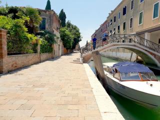 Patch of Eden - Venice - 9