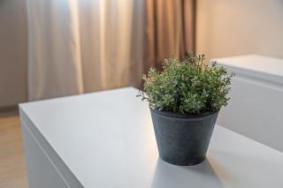 MyPlace Treviso Vittoria - Treviso - 5