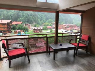 Uzungol Huzur Hotel - Uzungöl - 1