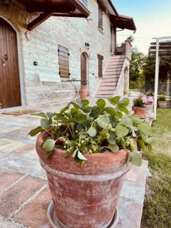 B&B Il Poggetto - Serra SantʼAbbondio - 1