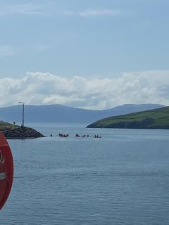 Dingle Wheelhouse - 7
