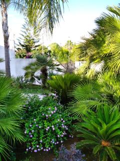 Villa Silvana - Lecce - 5