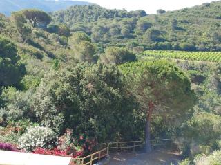 La mi' Elba - Lacona - 9