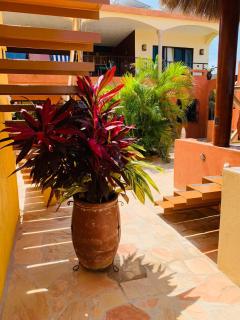 Villa La Joya - Barra de Navidad - 6