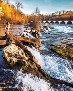 Fewo Near Rheinfall - 5