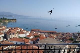 Violetta Rooms - Koroni - 7