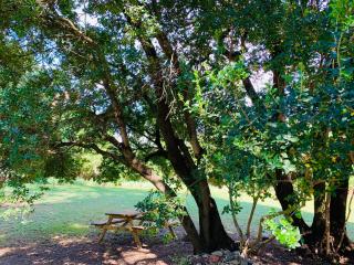 Domaine des Ondes - Millau - 1