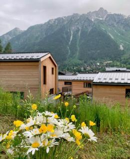 Gorgeous new-built townhouse in prime location - Chamonix-Mont-Blanc - 5