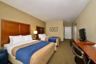 Comfort Inn & Suites Dover-Portsmouth - Dover - 9