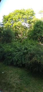 Zielony Apartament, Kielce, Targi, Centrum - Kielce - 6