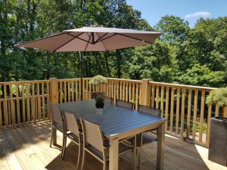 Les Deux Lacs - Stunning Gite, with private swimming pool and 2.75 acre fishing lake - La Chapelle-Verlaine - 5