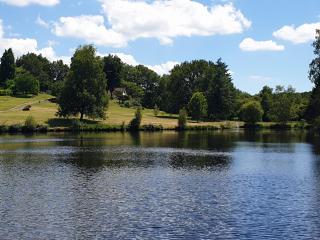 Les Deux Lacs - Stunning Gite, with private swimming pool and 2.75 acre fishing lake - La Chapelle-Verlaine - 9
