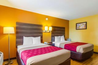 Econo Lodge - Kingsland - 5