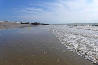 Maison conviviale à Cayeux-sur-Mer avec jardin - Cayeux-sur-Mer - 1