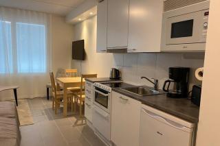 Arctic Star Levi - Lumitähti - 5