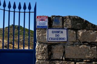 Quinta do Chãozinho - Alijó - 8