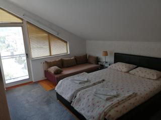 Luxury Apartment Biljana - Ohrid - 1