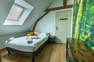 Taiiga - Domaine Tropical - Saint-Aignan - 9