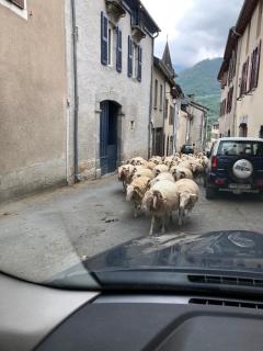 Au cœur des Pyrénées - parking gratuit - Pierrefitte-Nestalas - 1