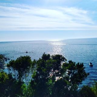 Cala San Francesco B&B - Agropoli - 7