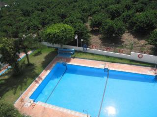LAS PALMERAS - Almuñécar - 0