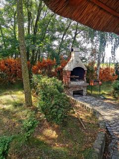 Domek na wsi nad jeziorem , prywatny staw - Kamieńczyk Dezerta - 2