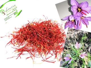 Agriturismo Demetra, b&b Demetra - 7