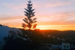 House with Panoramic Sea View and Beautiful Garden - Milatos - 2