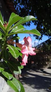 Casa Liria Gael - Kite Is Surf School - 5