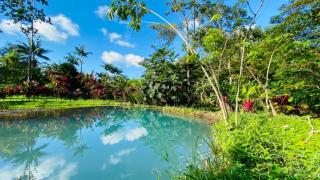 Blue River Resort & Hot Springs - Liberia - 5