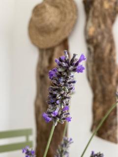 Alma Migrante bed&wine - 2