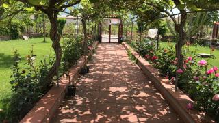 Alma Migrante bed&wine - Telese - 9