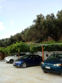 Villa Krini - 3