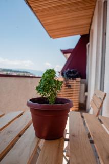 Mansard Ohrid - Ohrid - 3