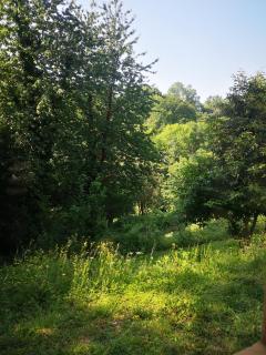 Gîtes hunières - Fourneville - 1