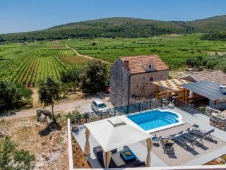 Stone House Prapatna - Smokvica - 9