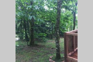 Adorable Cabane dans un espace boisé - 8