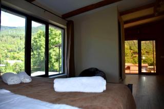 holiday home - Borjomi - 9