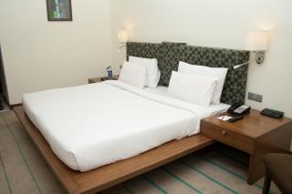 Hotel Parc Estique - Pune - 7
