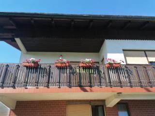 Apartments Novak - Ljubno - 0