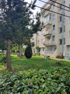 JANA apartment - Ohrid - 4