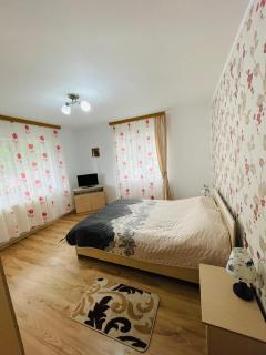 Apartament Bușteni - 1