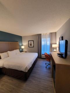 Comfort Inn & Suites Alexandria West - 0