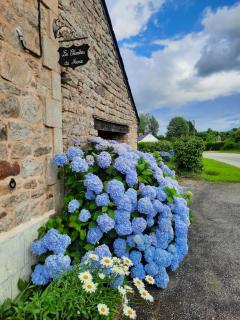 Les chambres de Marie - 9