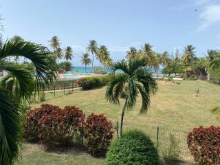 Résidence Savane - 5