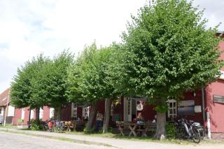 Ferienhof am Käbelicksee - Kratzeburg - 0