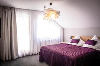 Hotel Restaurant Na Návsi - Říčany u Brna - 9