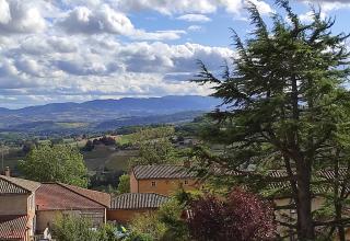 Appartement Bagnols - Les Meublés des Pierres Dorées - Theizé - 3