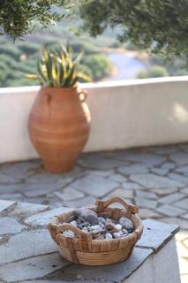 Cretan Country house - Áyios Spirídhon - 6
